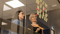 Business Courses | Torrens University