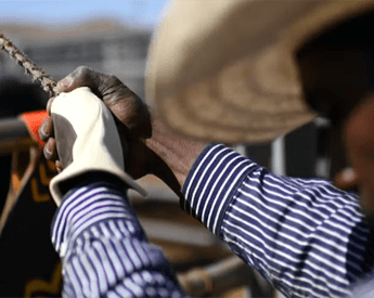 Research | Torrens University