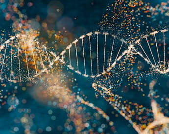 CHEF | Torrens University