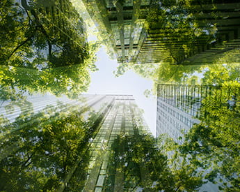 Research and Innovation Office | Torrens University