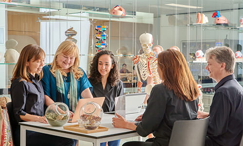 Health course students group work